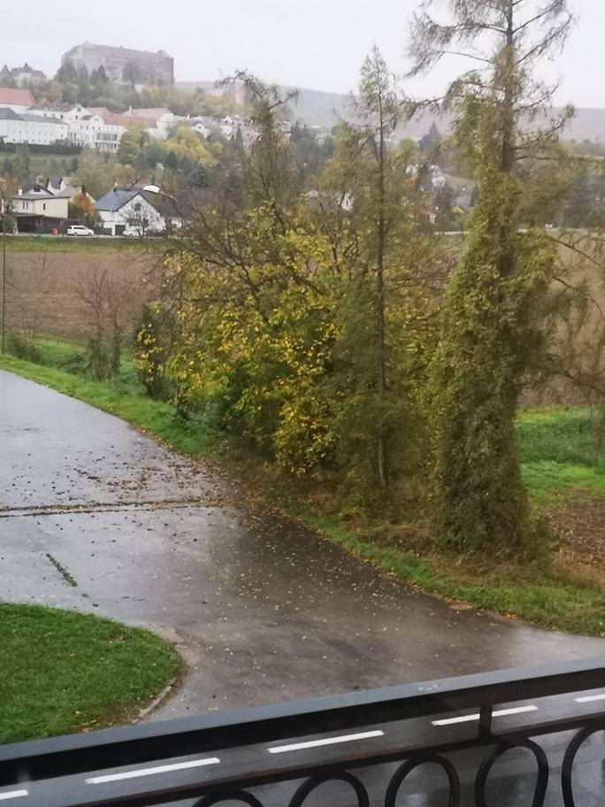 Blick aus dem Schlafzimmer