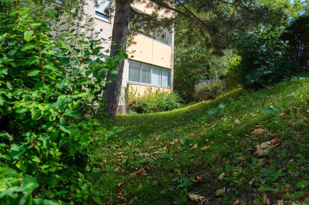 DB_20250624_Wohnung_037