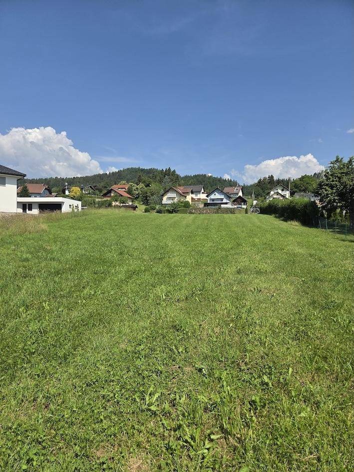 Großzügige Grünfläche mit umliegenden Wohnhäusern und bewaldeten Hügeln unter blauem Himmel.