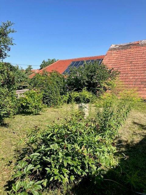 Grüner Gartenbereich mit üppiger Vegetation und einem Dach mit Photovoltaikanlage im Hintergrund.