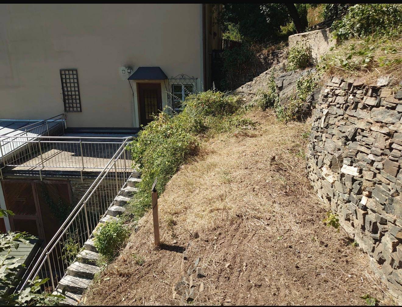 Slide 6