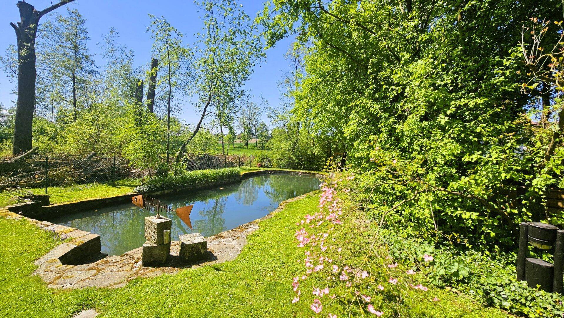 Natürlicher Teichbereich im weitläufigen Garten, umgeben von üppigem Grün und Bäumen.