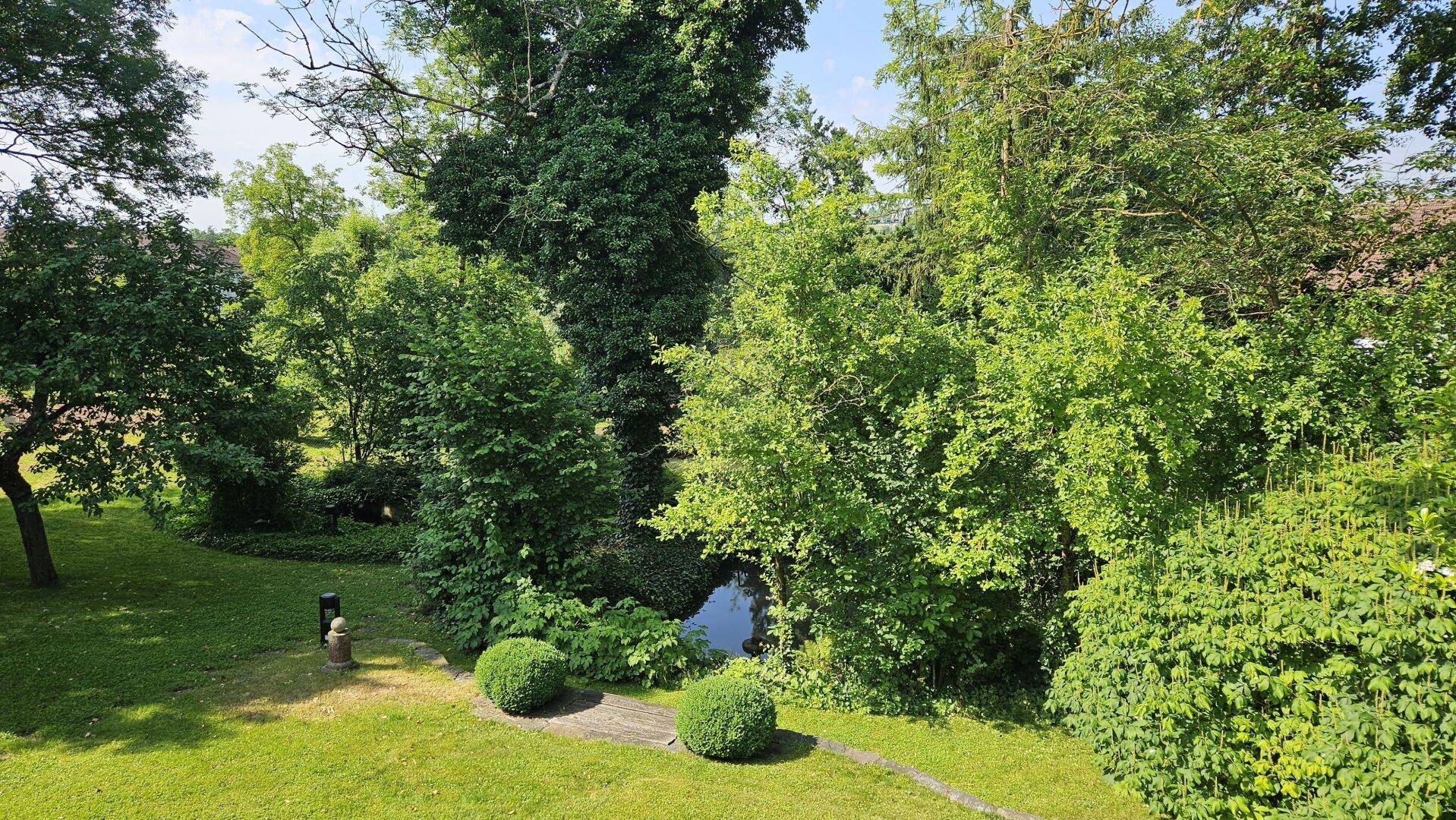 Idyllischer Gartenbereich mit üppiger Vegetation, kleinem Teich und gepflegtem Rasen.