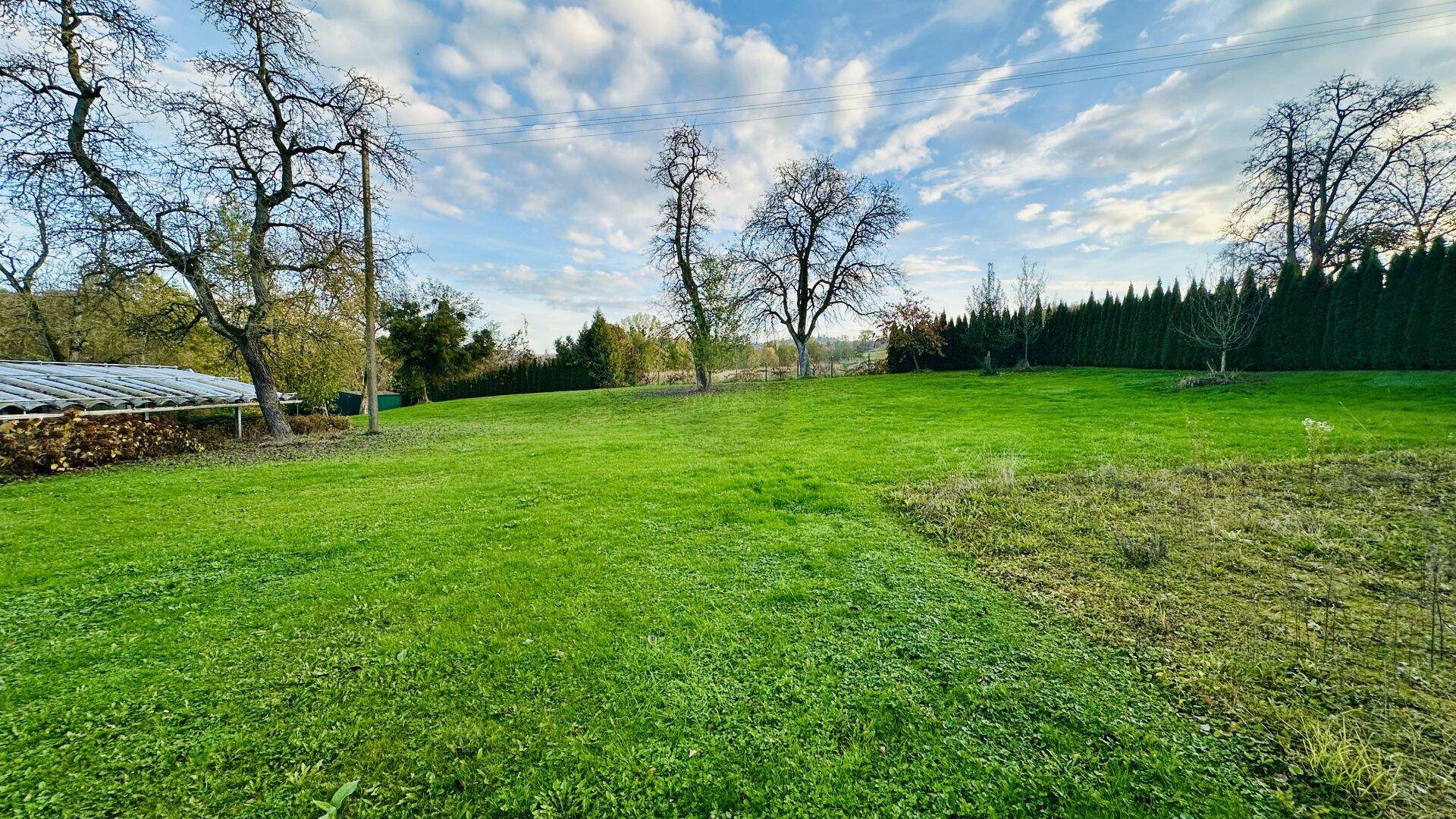 Weitläufige Grünfläche mit Rasen, Bäumen und einer hohen Hecke unter einem bewölkten Himmel.