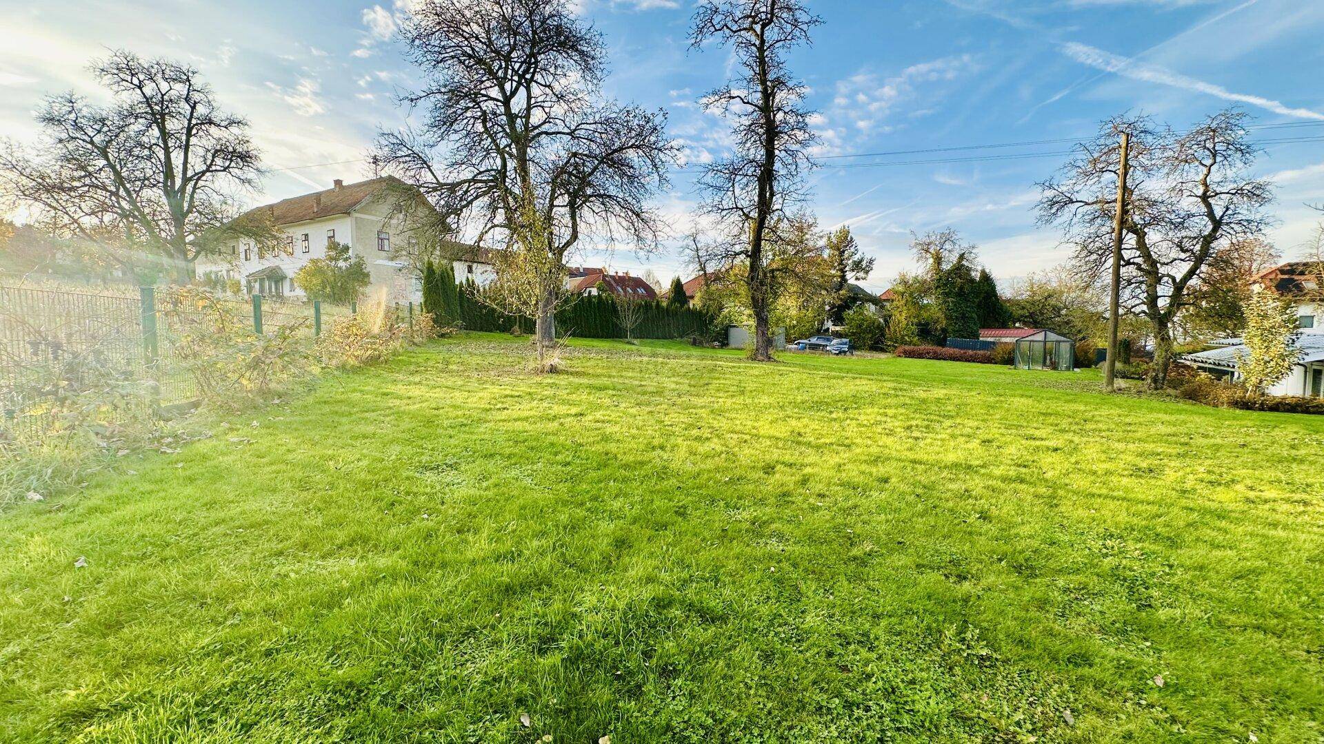 Große Rasenfläche mit Blick auf umliegende Häuser und Bäume an einem sonnigen Tag.
