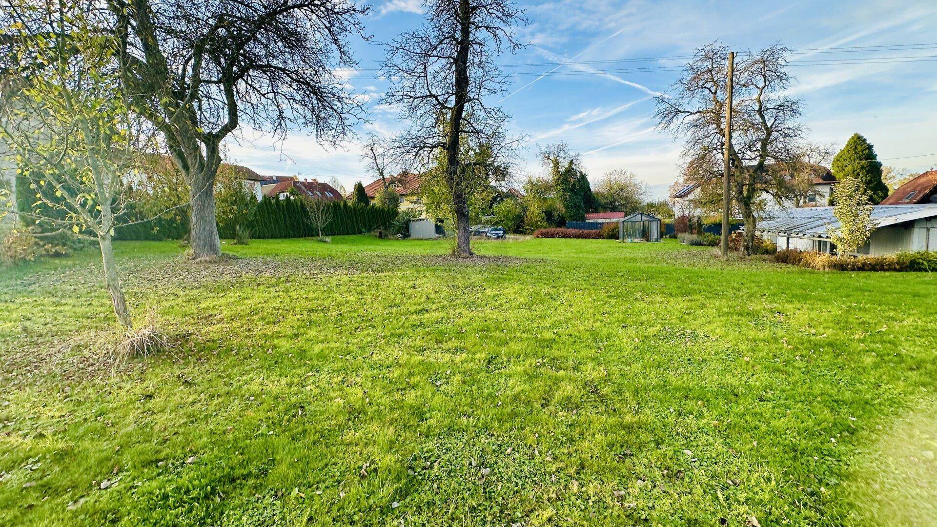 Weitläufige grüne Wiese mit vereinzelten Bäumen und Häusern im Hintergrund unter blauem Himmel.