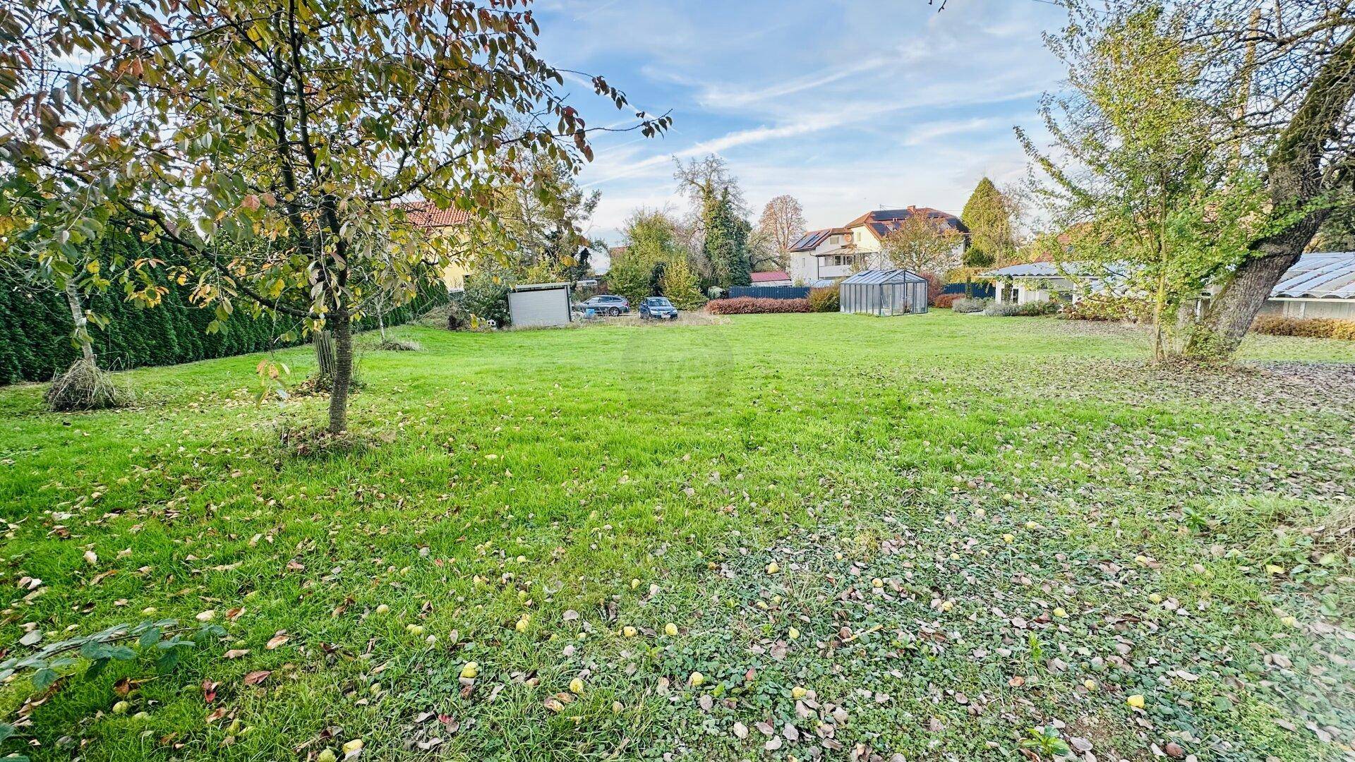 Grüne Wiese mit Bäumen und herbstlichem Laub, umgeben von ländlicher Bebauung.