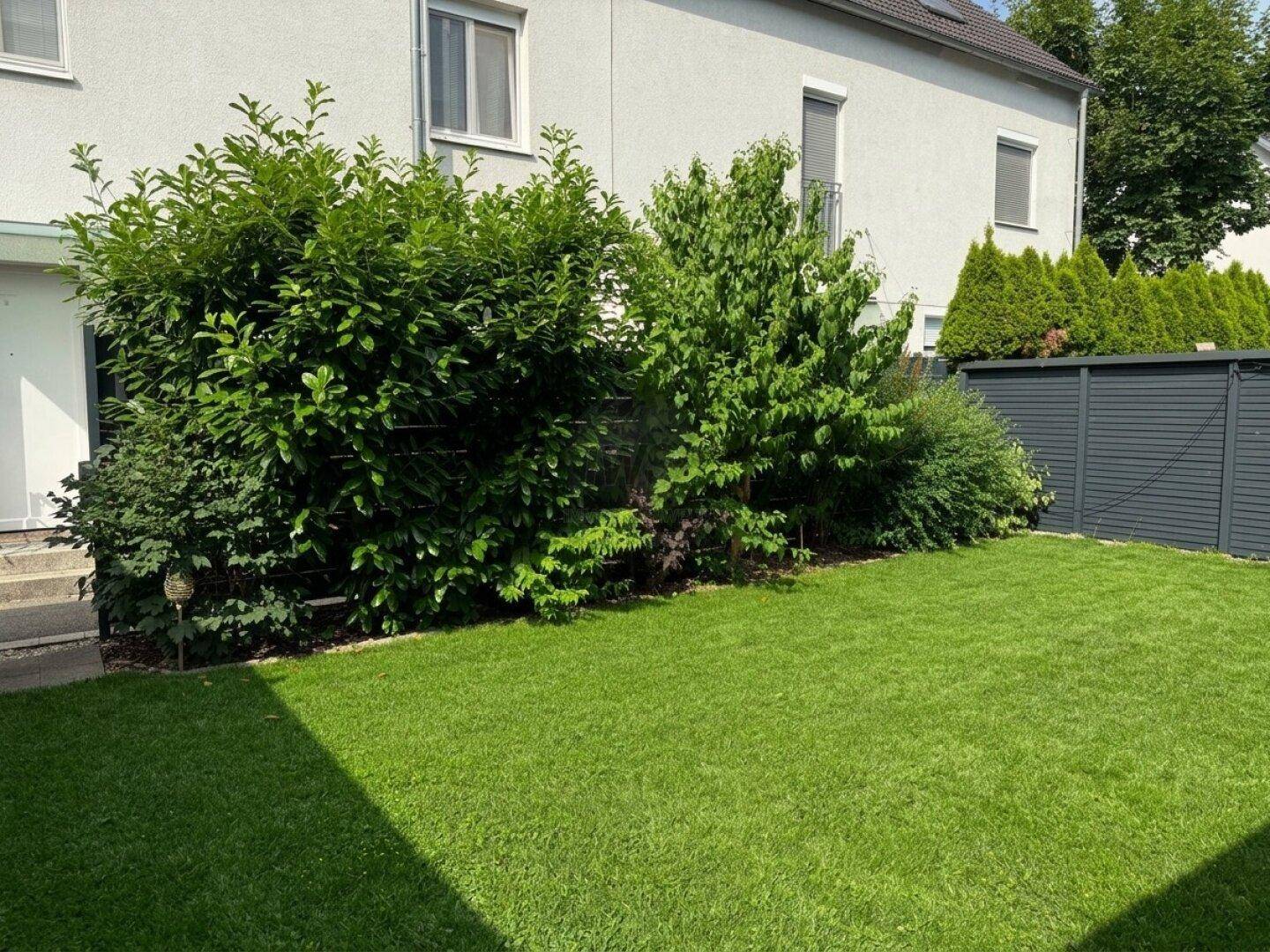 Gepflegter kleiner Gartenbereich mit Rasenfläche und grünen Büschen, ideal zum Entspannen.