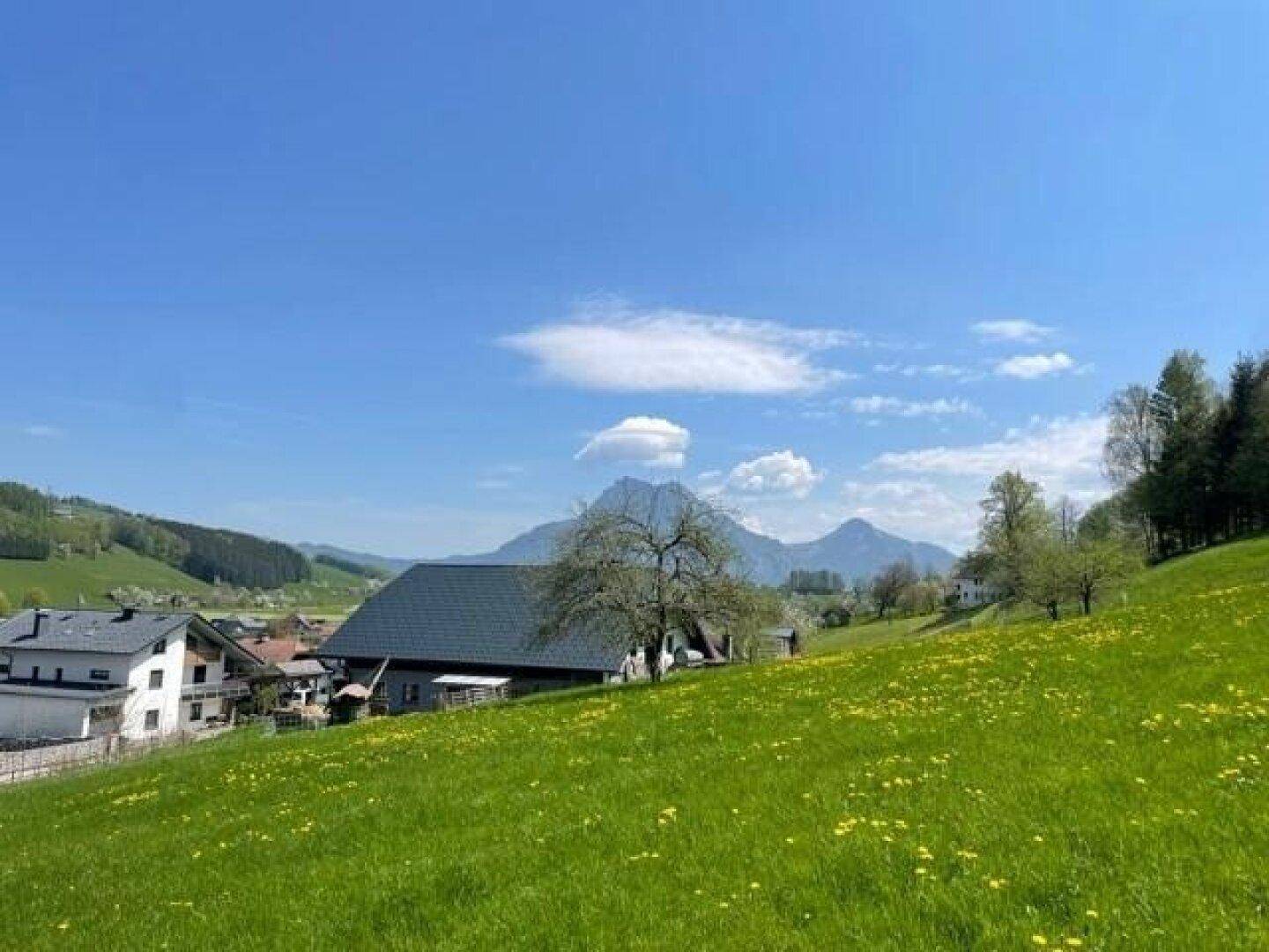 Baugrundstück in Altmünster - 1.477 m², aufgeschlossen, mit Kleinwohnhaus und Potenzial für bis zu 3 Wohneinheiten – pohled 2