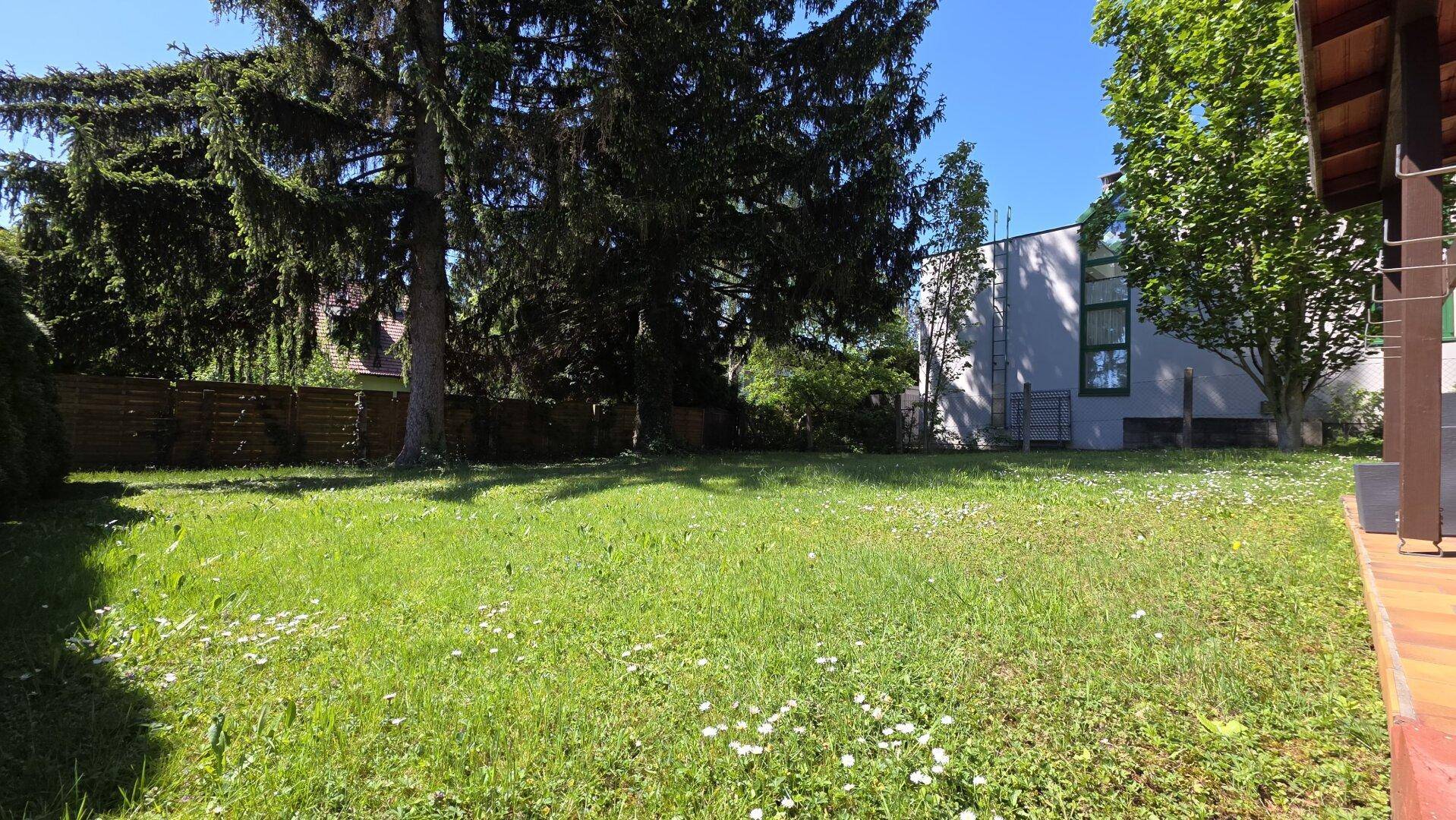 Sonniger Gartenbereich mit Rasen, großen Bäumen und der Seitenfassade eines Hauses.
