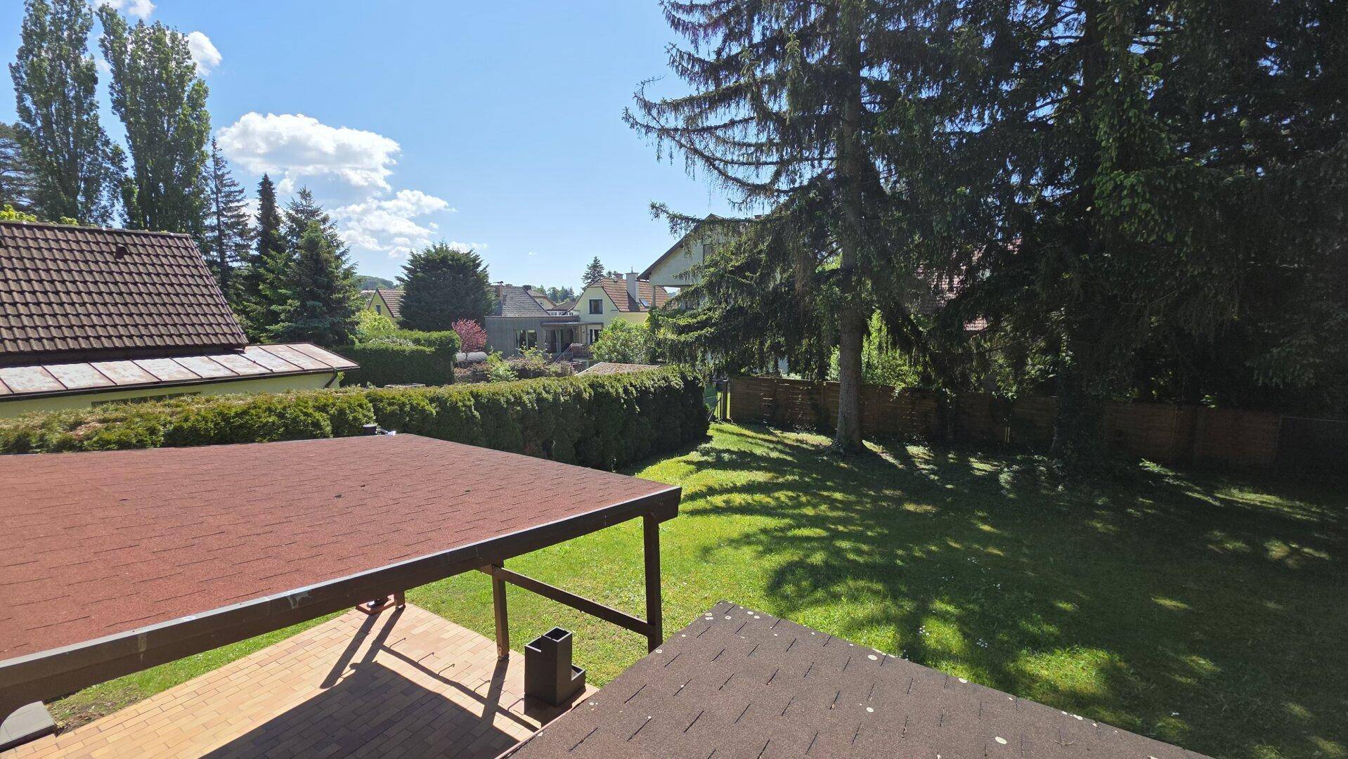 Blick vom Balkon auf den grünen Garten mit hohen Bäumen und einer dichten Hecke.