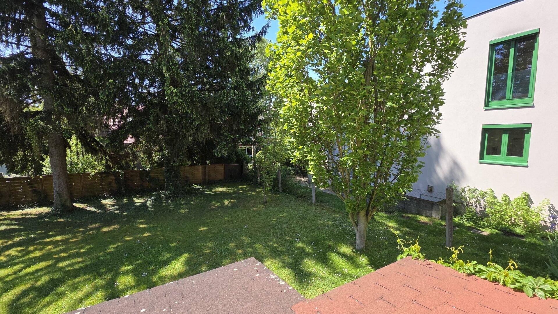 Panoramablick auf den gepflegten Garten mit Bäumen und der Fassade eines Nachbargebäudes.