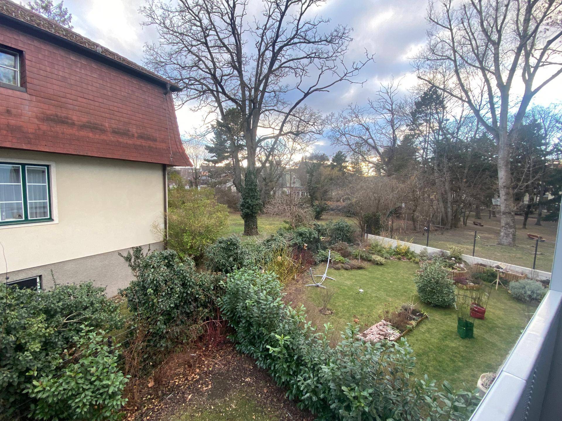 Weitläufiger Gartenbereich mit altem Baumbestand und Blick auf die Gebäudefassade.