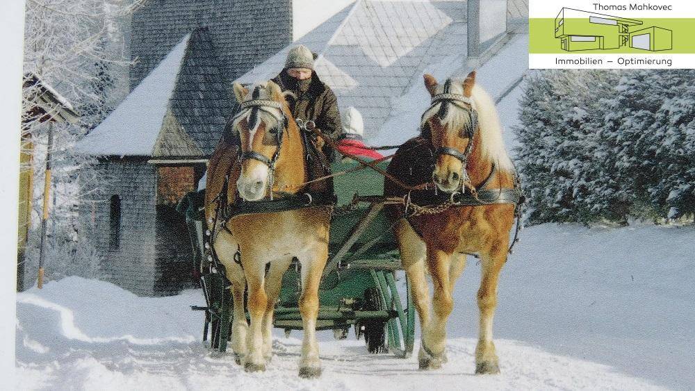 2 Pferdekutsche im Winter