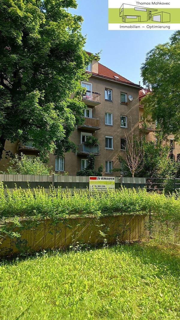 1 Garten im Sommer