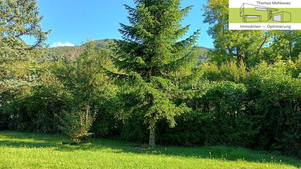 1 Südblick