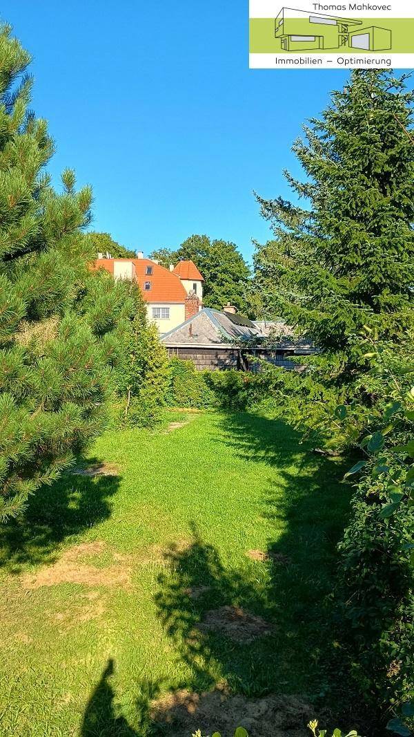 Sonniger Gartenbereich mit Rasen und hohen Bäumen, der den Blick auf ein entferntes Gebäude freigibt.