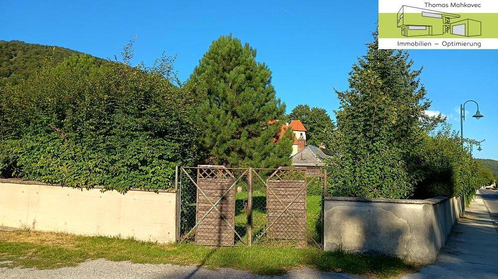 Eingangstor zum Grundstück von der Straße aus, umgeben von Hecken und Bäumen.
