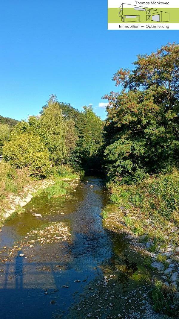 Ruhiger Flusslauf umgeben von üppiger Vegetation und Bäumen unter blauem Himmel.