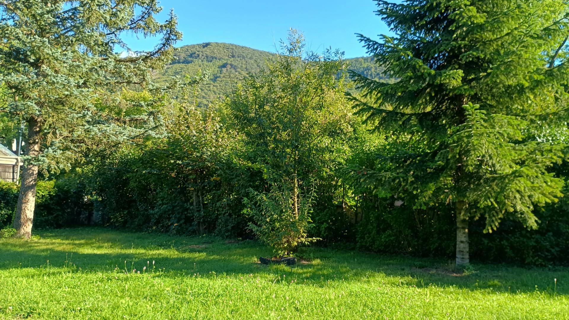 Weitläufiger grüner Garten mit üppiger Vegetation, hohen Bäumen und einem malerischen Bergblick.