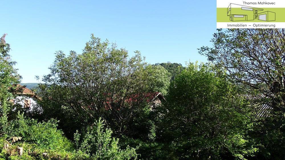 Weitläufiger Blick über Baumwipfel auf bewaldete Hügel und die Landschaft.