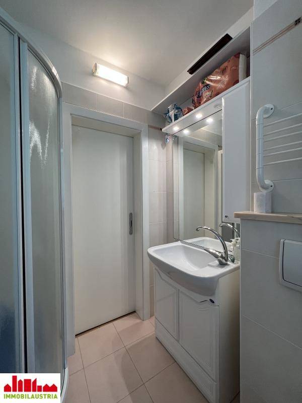 Badezimmer mit Duschkabine, Waschbecken, Spiegelschrank und Haltegriffen für Barrierefreiheit.