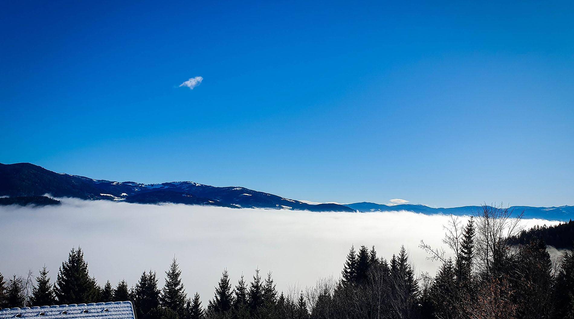Panoramablick auf schneebedeckte Berge über einer Nebeldecke mit klarem blauem Himmel und Wald im Vordergrund.