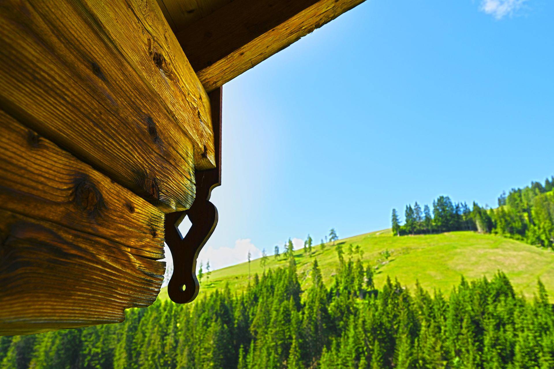 Malerischer Ausblick von einem Holzbalkon auf eine grüne Hügellandschaft mit dichten Wäldern.