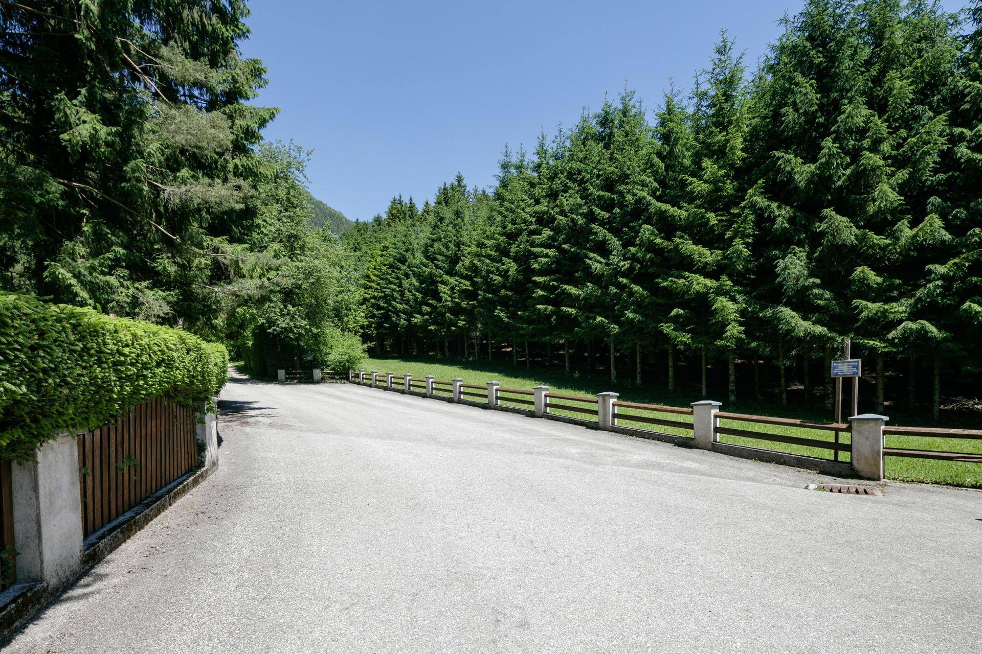 Zufahrtsstraße umgeben von hohen Bäumen und grüner Landschaft unter blauem Himmel.