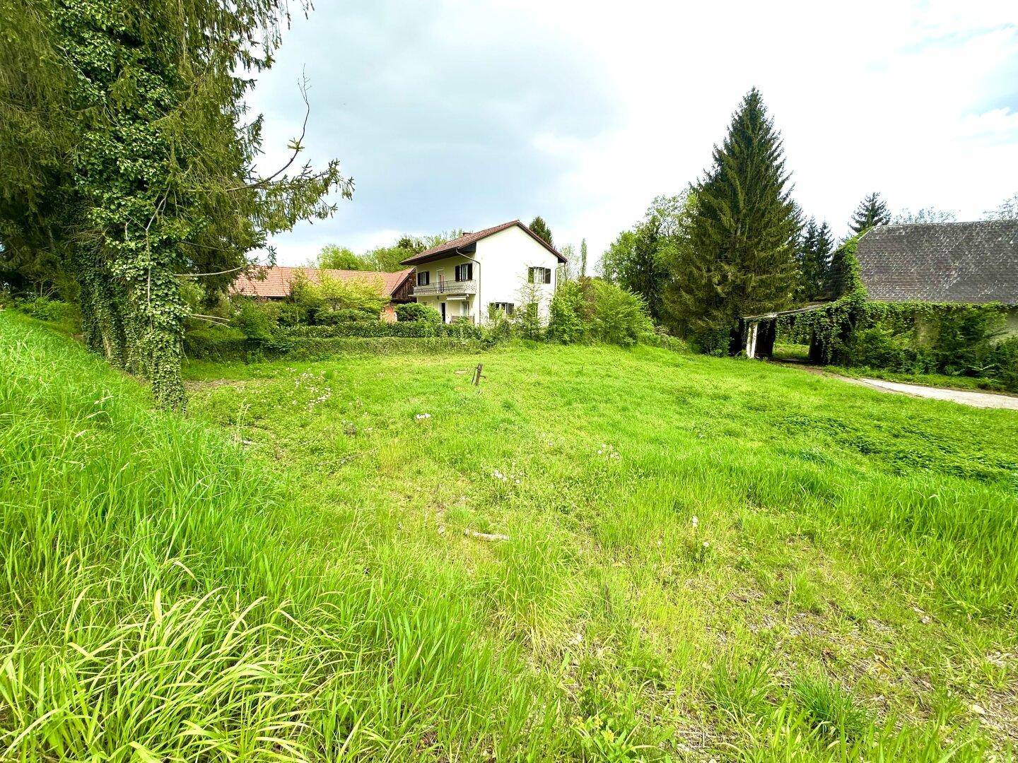 Freistehendes Haus auf einem Grundstück mit viel Grün und hohen Nadelbäumen.