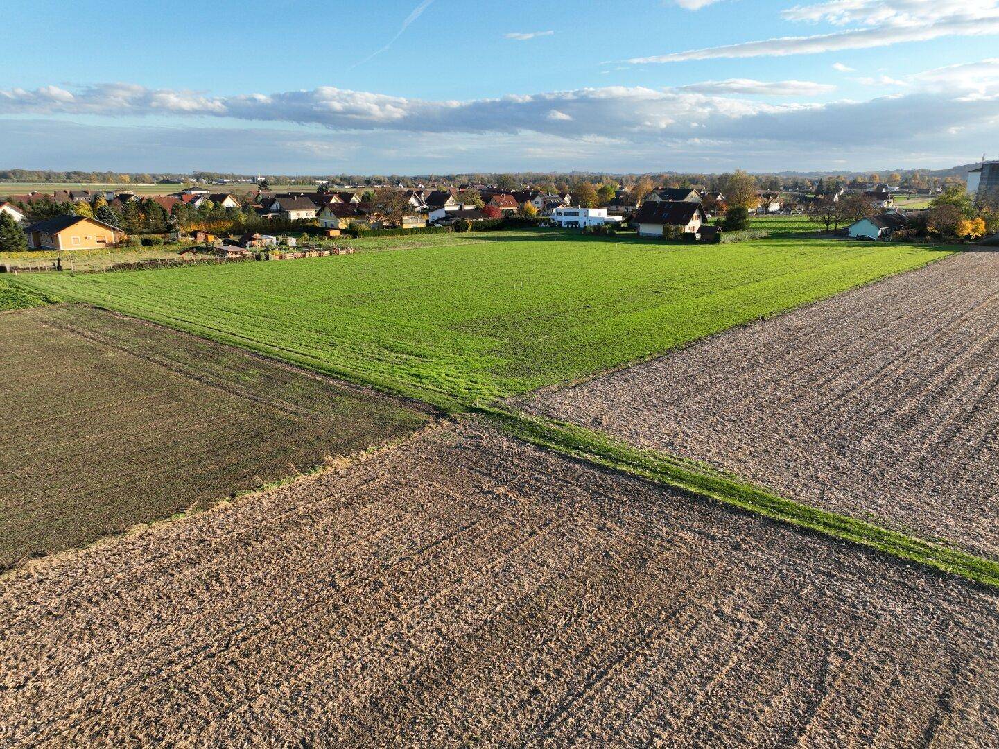 Panoramablick aus der Luft auf grüne Felder und eine kleine Wohnsiedlung unter klarem Himmel.
