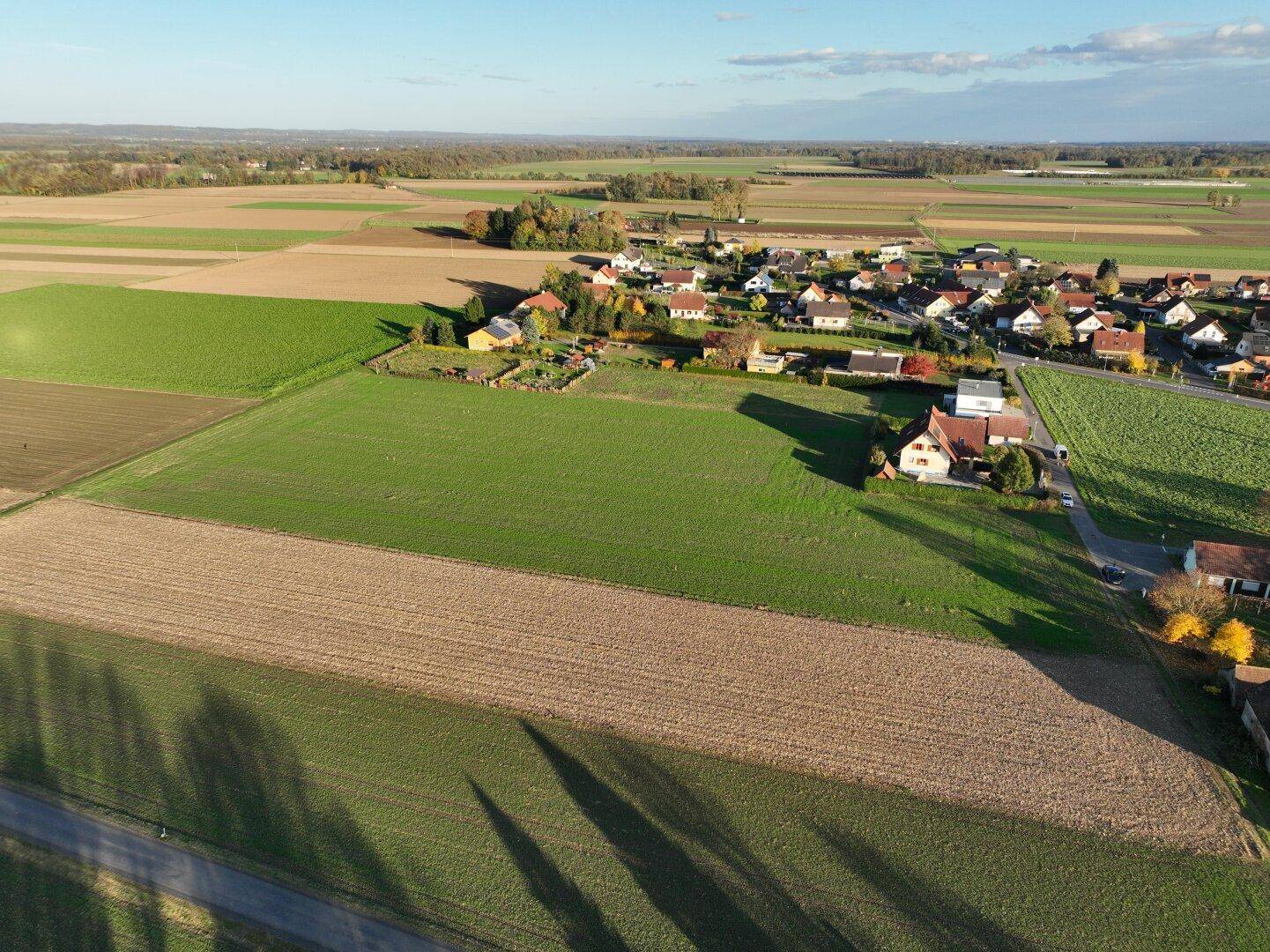 Panoramablick aus der Luft auf eine ländliche Siedlung umgeben von weiten Feldern und Ackerflächen.