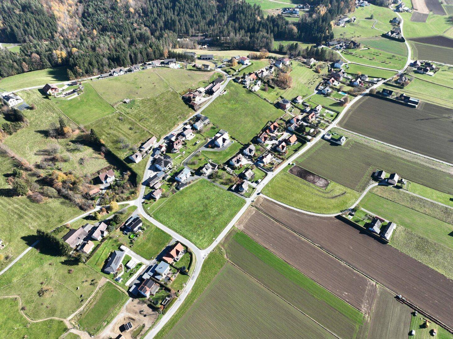 Panoramische Luftansicht einer weitläufigen Wohngegend, umgeben von grünen Feldern und Wäldern.