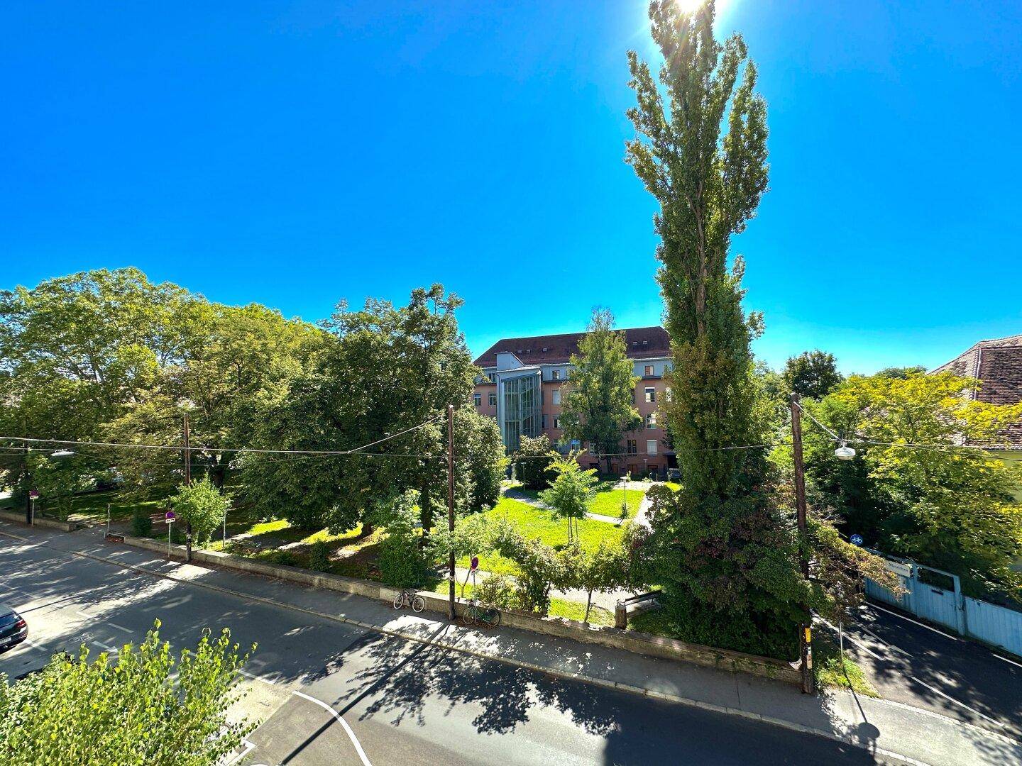 Weitläufiger Blick auf grüne Bäume, eine Straße und ein Gebäude in der Ferne unter blauem Himmel.