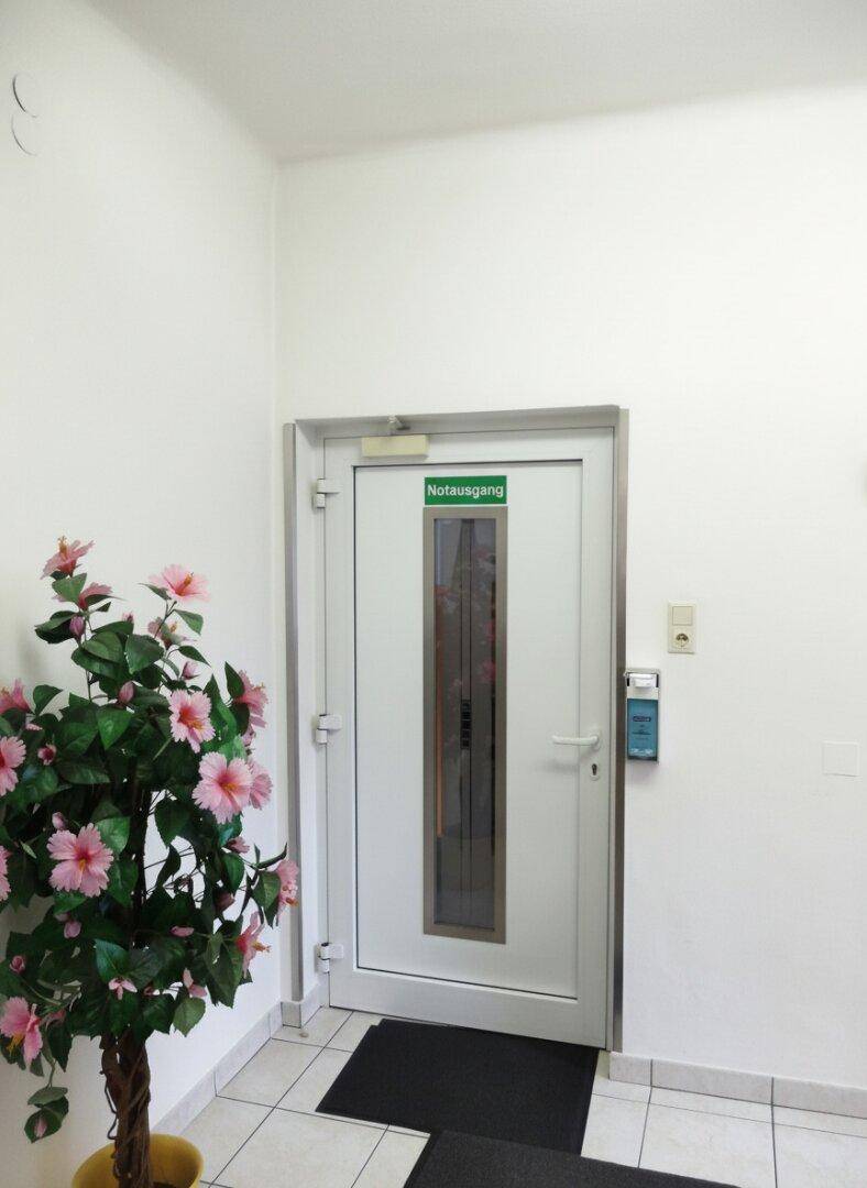 Eingangsbereich mit Notausgangstür und einer dekorativen Pflanze.