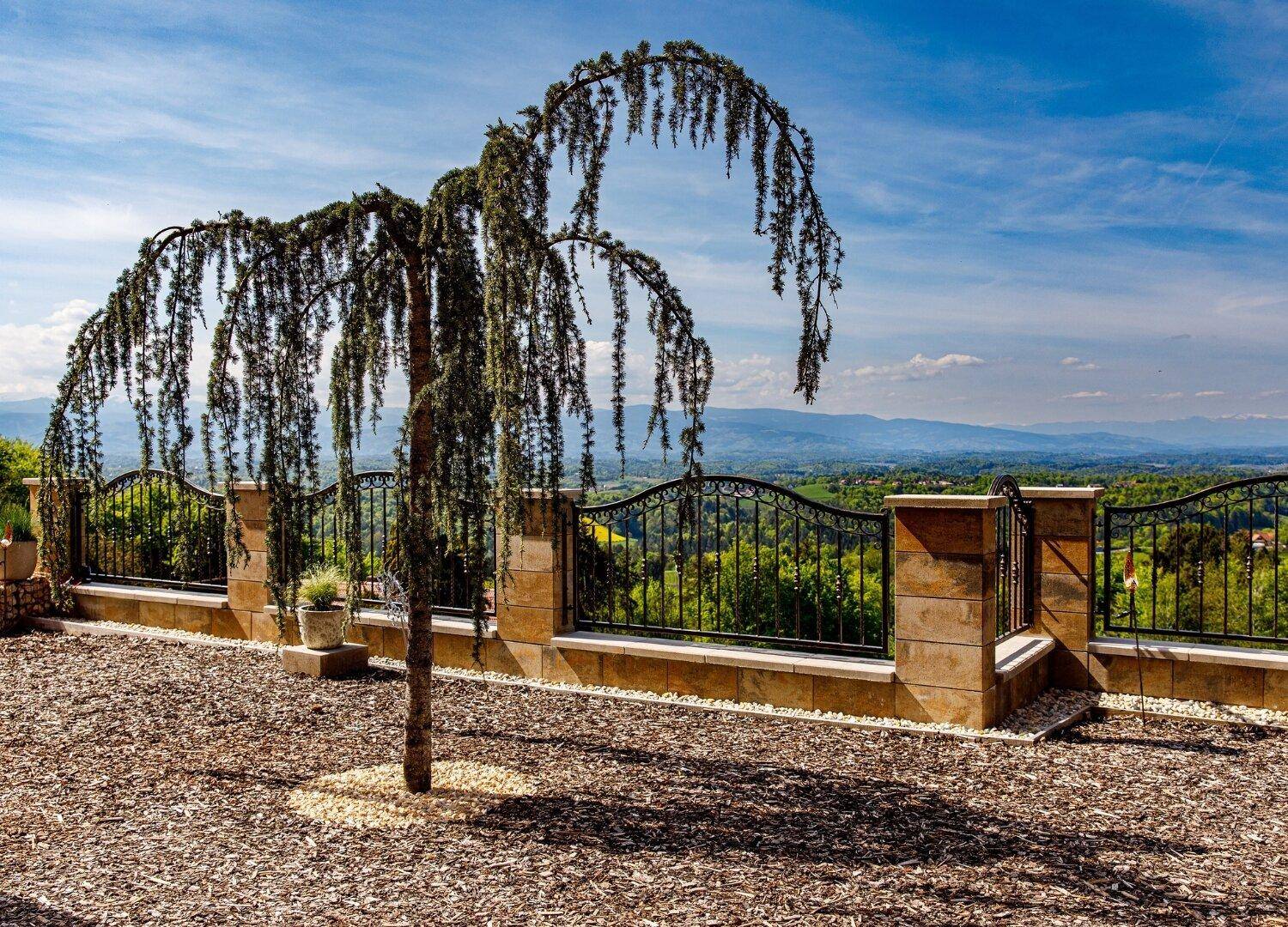 Gepflegter Gartenbereich mit einem markanten Baum und einem weiten Blick über die grüne Landschaft.