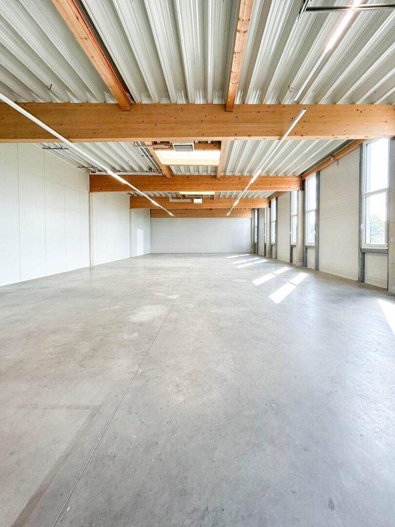 REPRÄSENTATIVE GEWERBEFLÄCHE I MODERN I LICHTDURCHFLUTET I 250,44 m² IN GRALLA - Ansicht 4