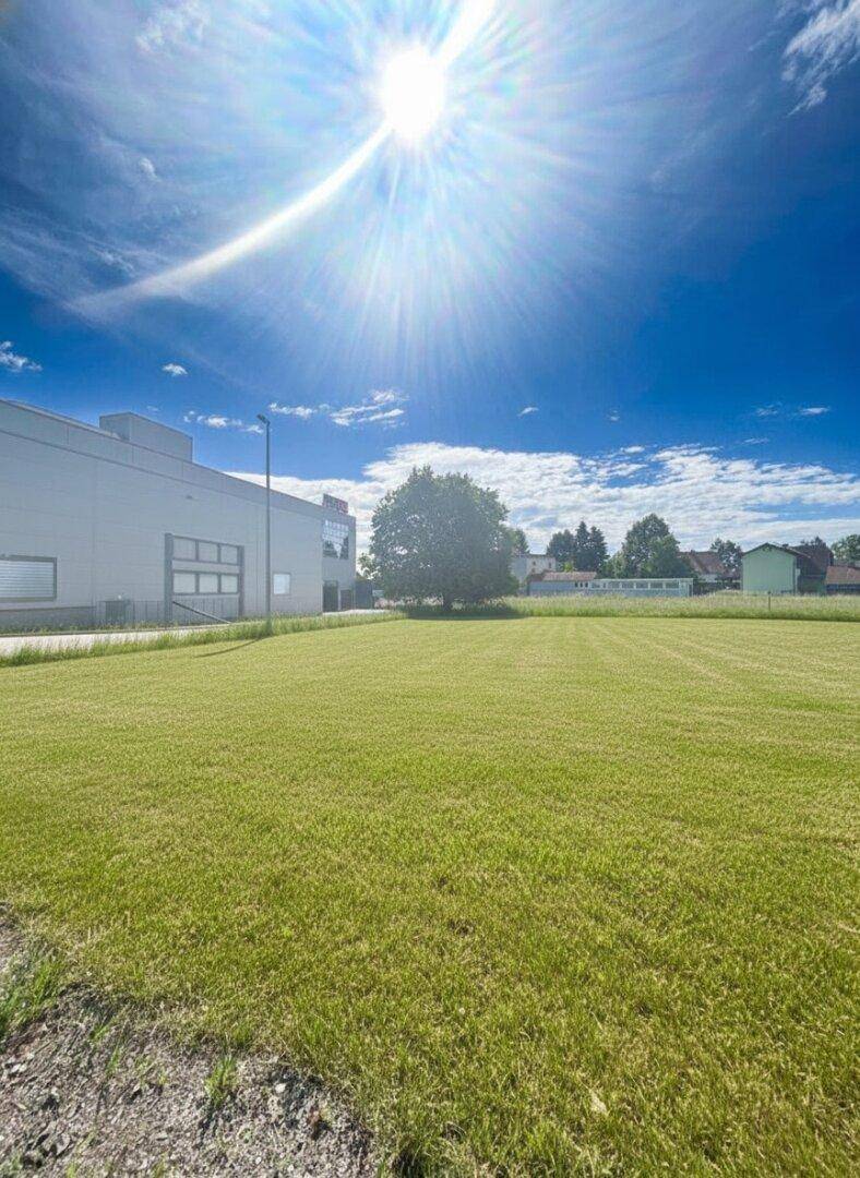 Eine weitläufige grüne Wiese vor einem modernen Industriegebäude und einem großen Baum unter strahlendem Himmel mit Sonnenschein.