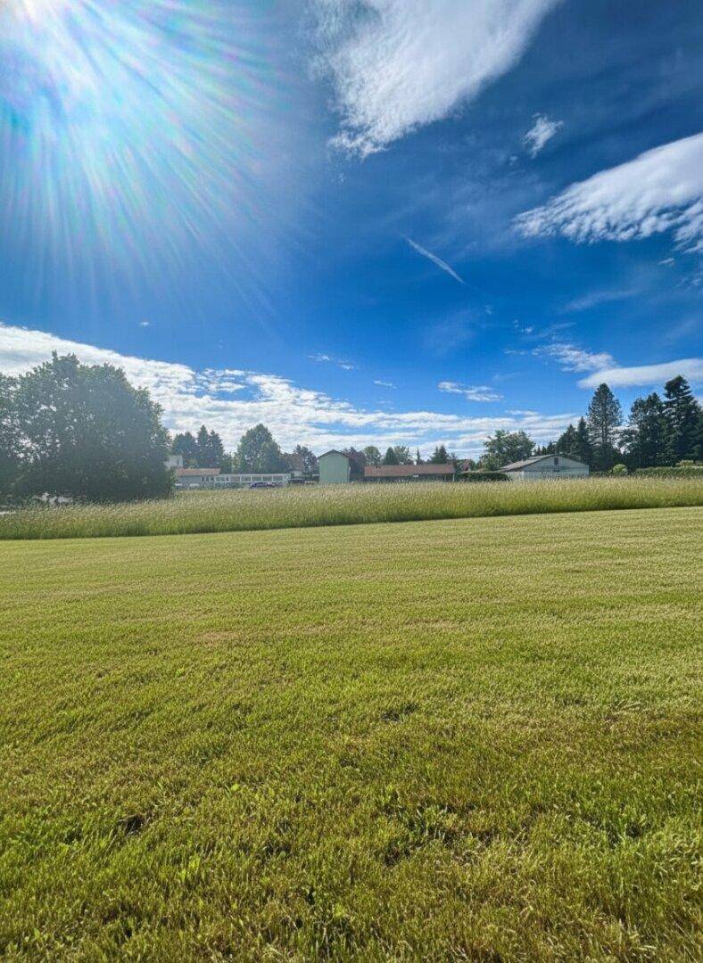 Eine weite grüne Wiese unter strahlend blauem Himmel mit Sonnenschein und Häusern sowie Bäumen im Hintergrund.