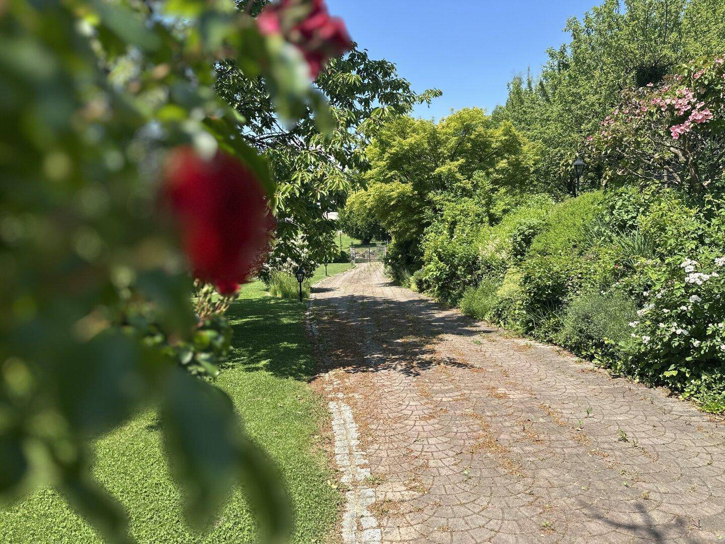Gepflasterte Auffahrt führt durch den üppigen Garten, umgeben von grünen Bäumen und Sträuchern.