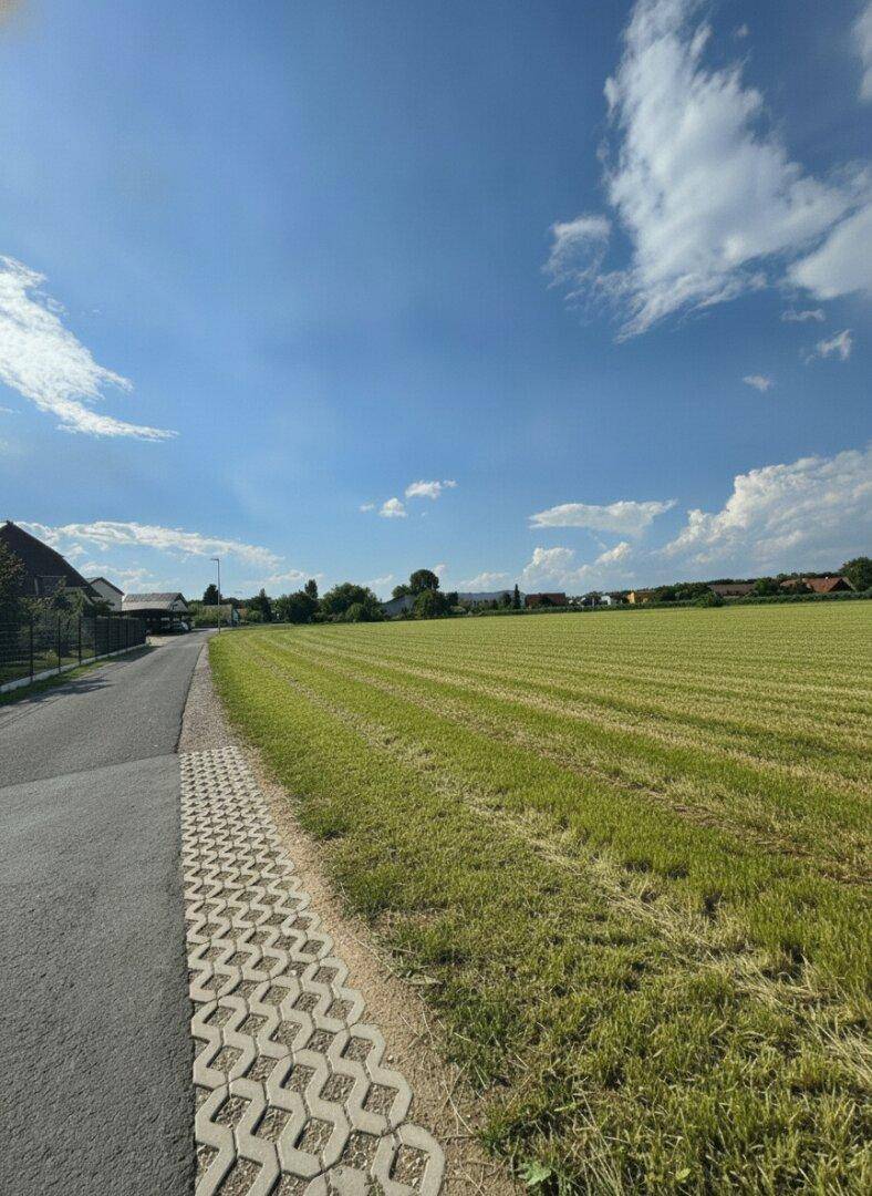 Asphaltierte Straße und gepflasterter Weg neben einem weiten, gemähten Grünfeld unter einem klaren blauen Himmel.