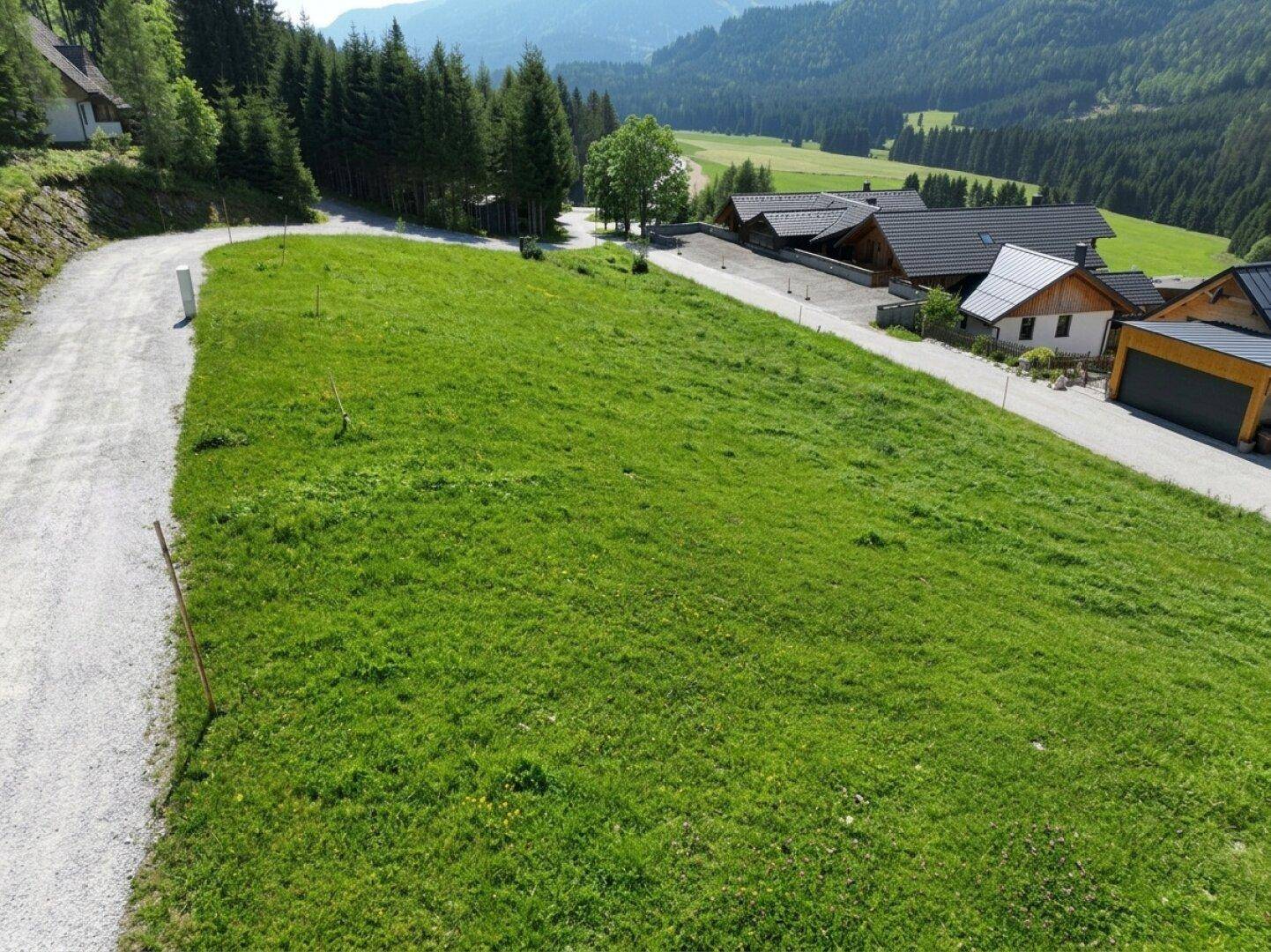 Weitläufige grüne Wiese mit Schotterweg und Häusern in einer bewaldeten Berglandschaft.