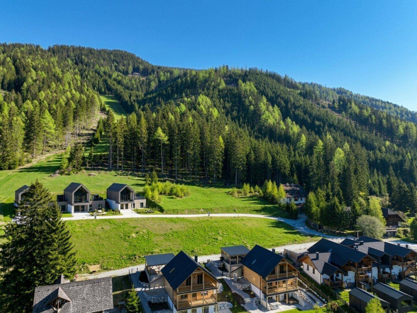 Weitläufige Ansicht einer Berglandschaft mit Wald, Häusern und einer Skipiste im Hintergrund.
