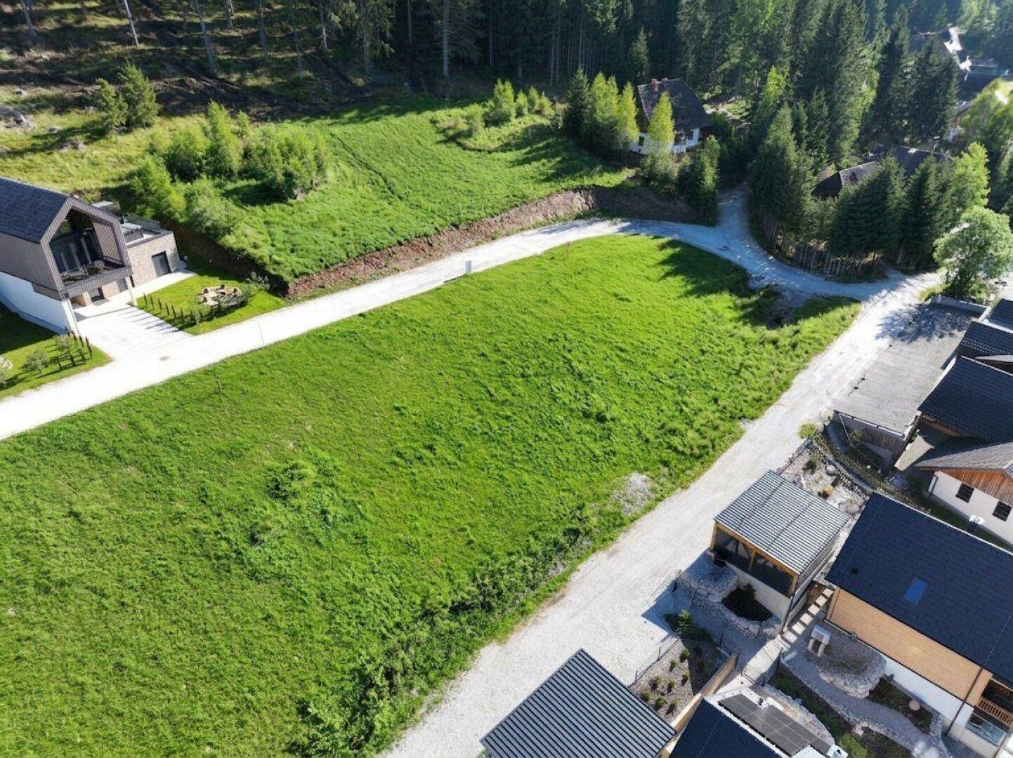 Weitläufige grüne Wiesenfläche in einer bergigen Umgebung, umgeben von Wald und Natur.