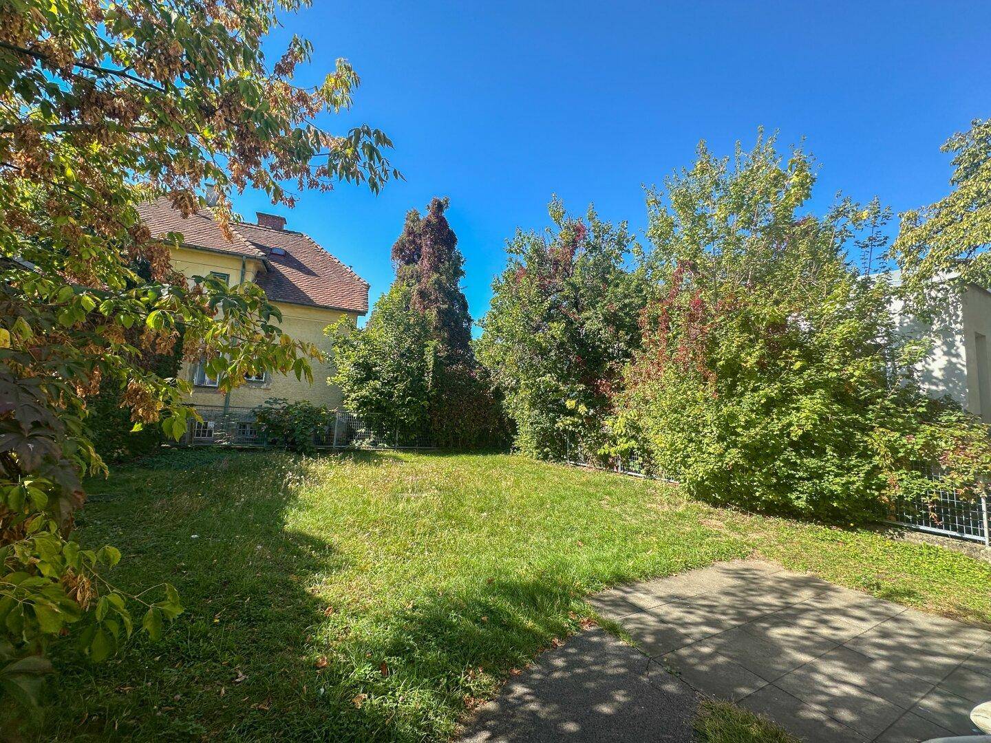 Ein grüner Gartenbereich mit Bäumen und Rasenfläche, umgeben von Gebäuden unter blauem Himmel.