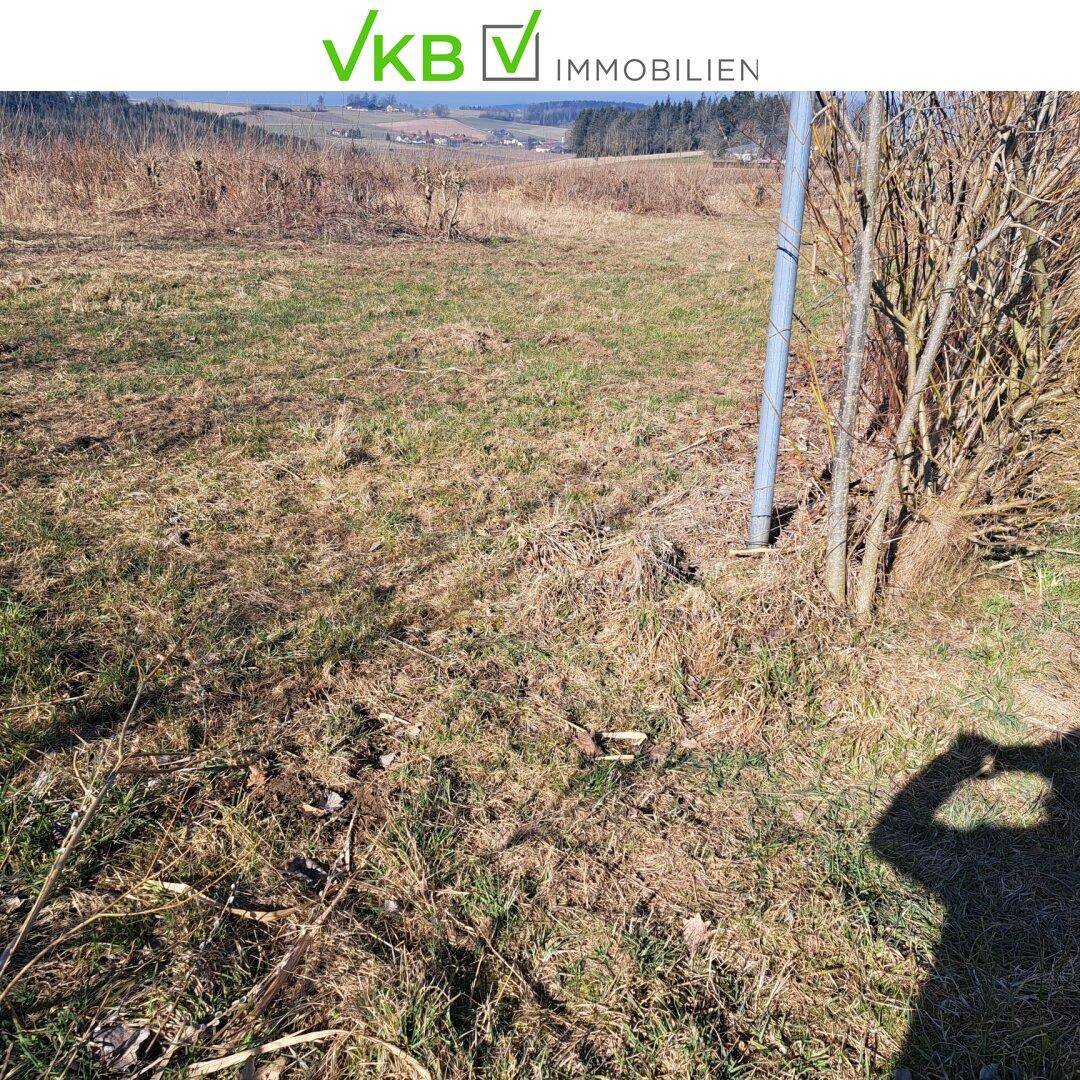 Detailansicht von trockenem Gras und Sträuchern auf einem Grundstück mit einem Metallpfosten.