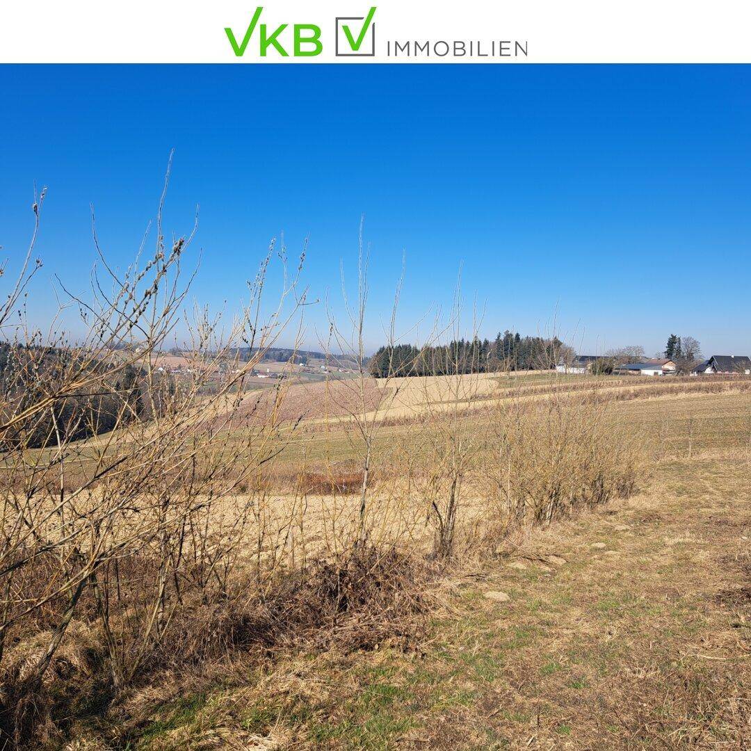 Panoramablick über weite Felder und ländliche Umgebung mit kahlen Bäumen im Vordergrund.