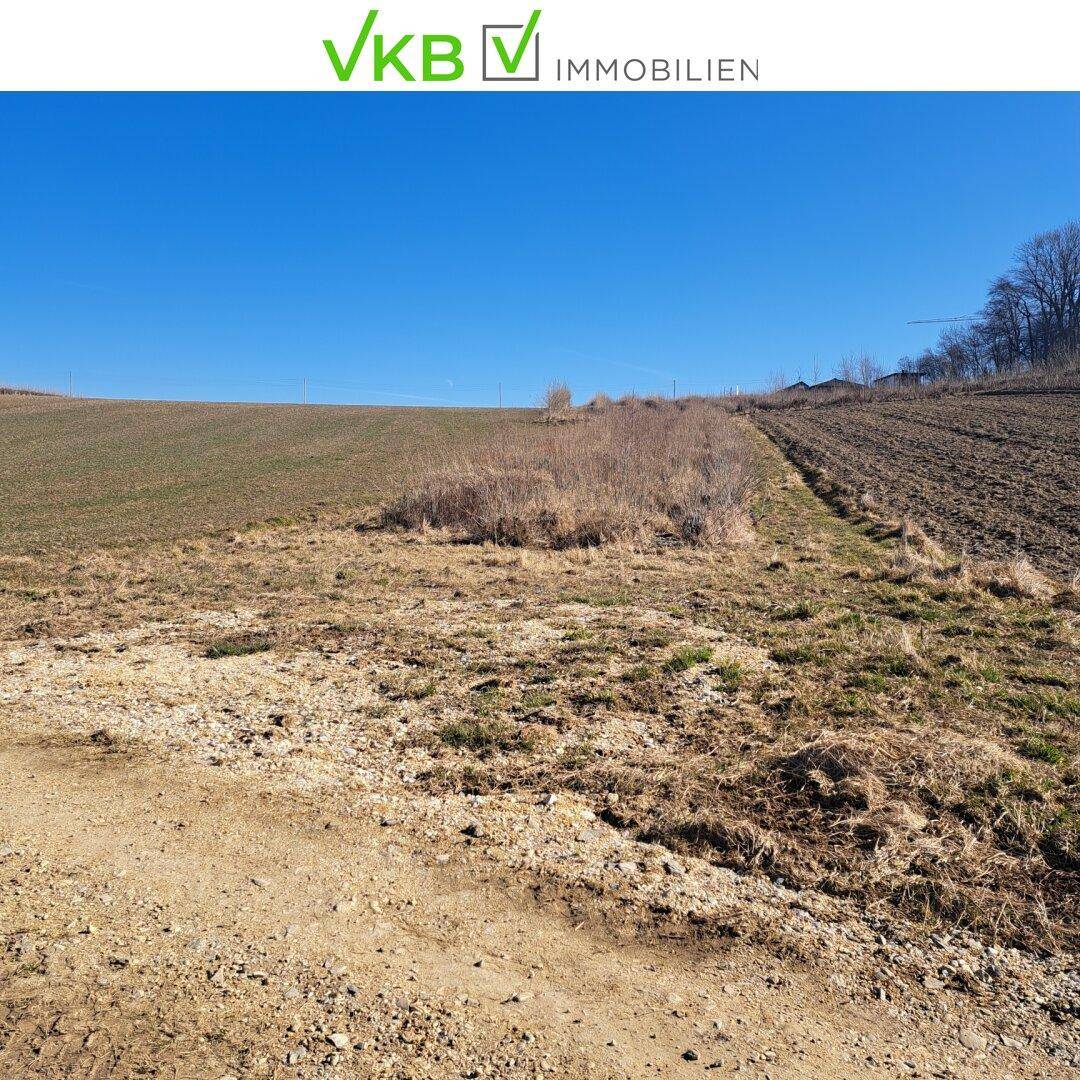 Ländlicher Weg führt durch Felder und offenes Gelände unter einem strahlend blauen Himmel.