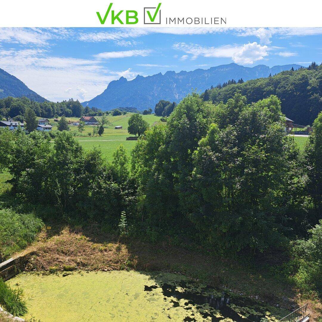 Weitläufige grüne Landschaft mit einem Teich und bewaldeten Bergen im Hintergrund.