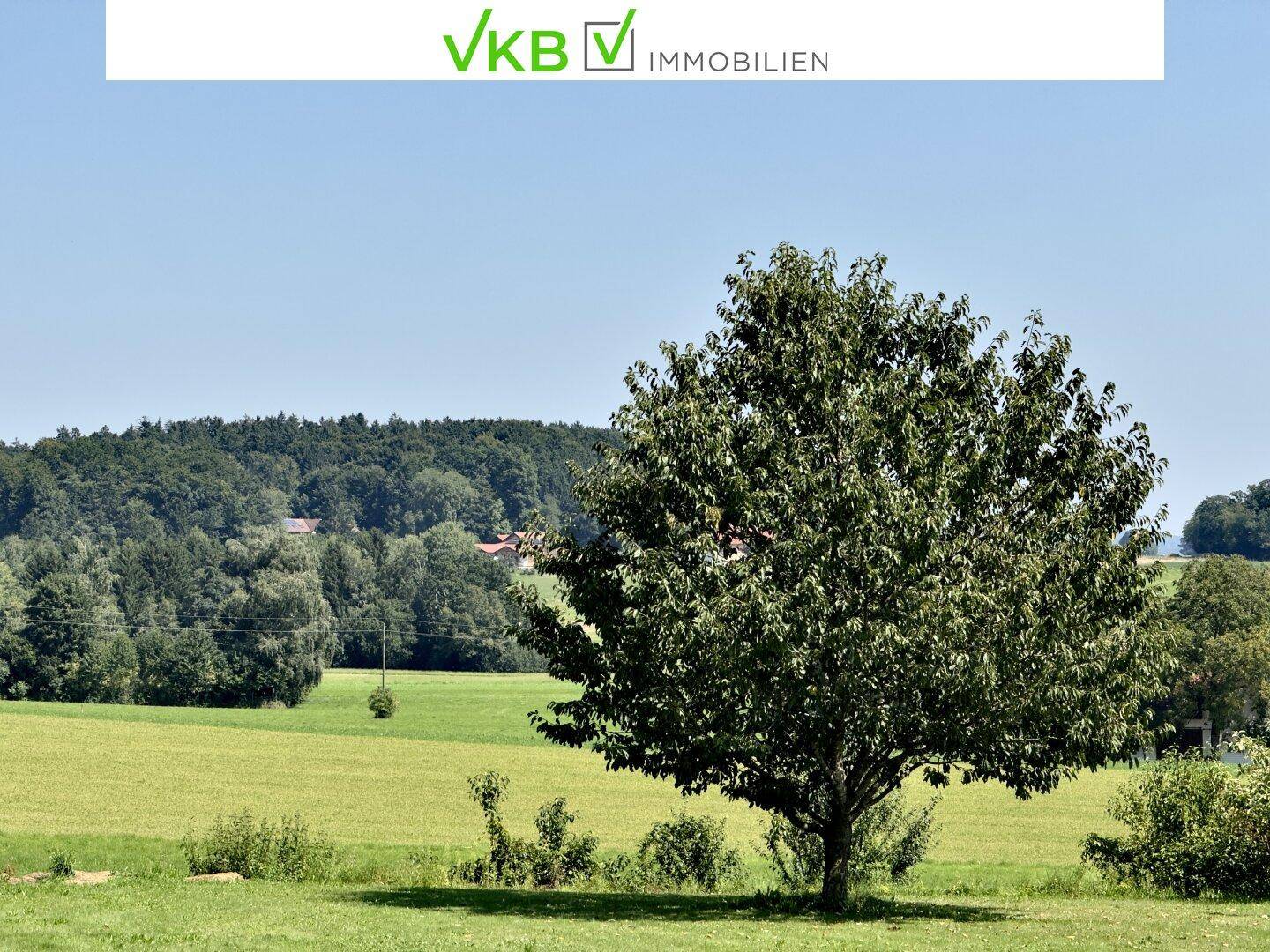 Idyllischer Blick auf weite Felder, einen Waldrand und einen einzelnen Baum im Vordergrund unter klarem Himmel.